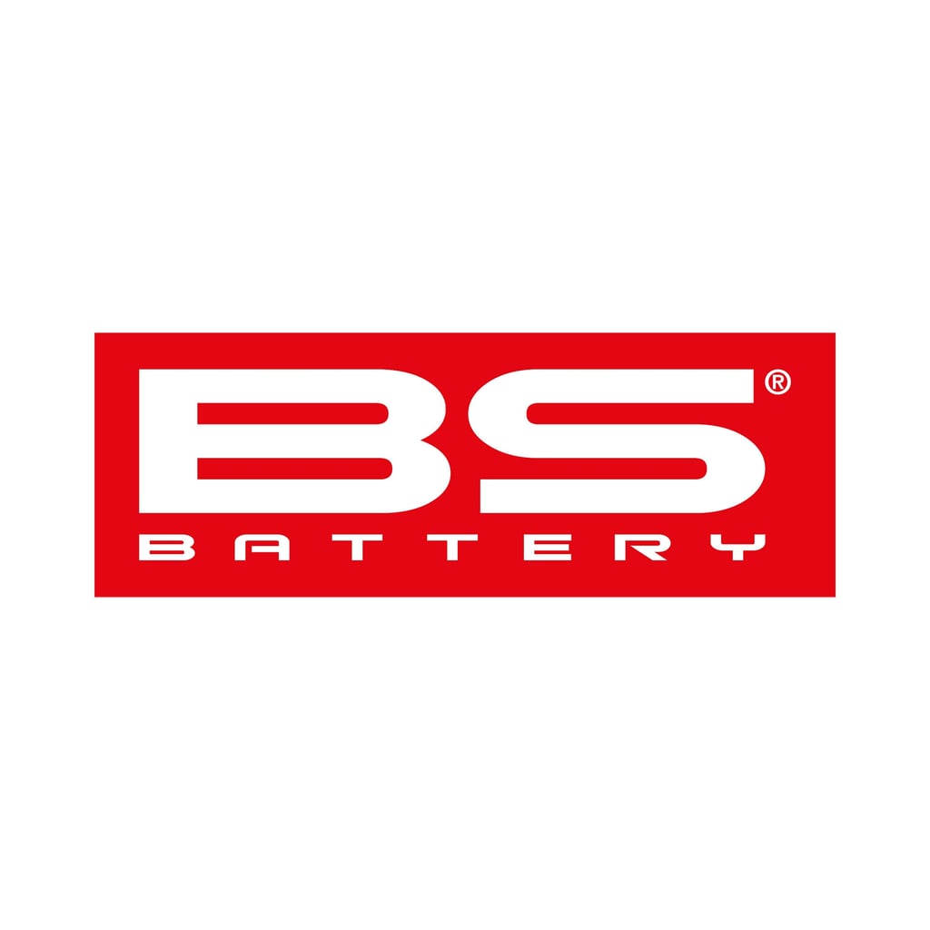 BS BTX20 SLA (WC) Factory Activated Battery