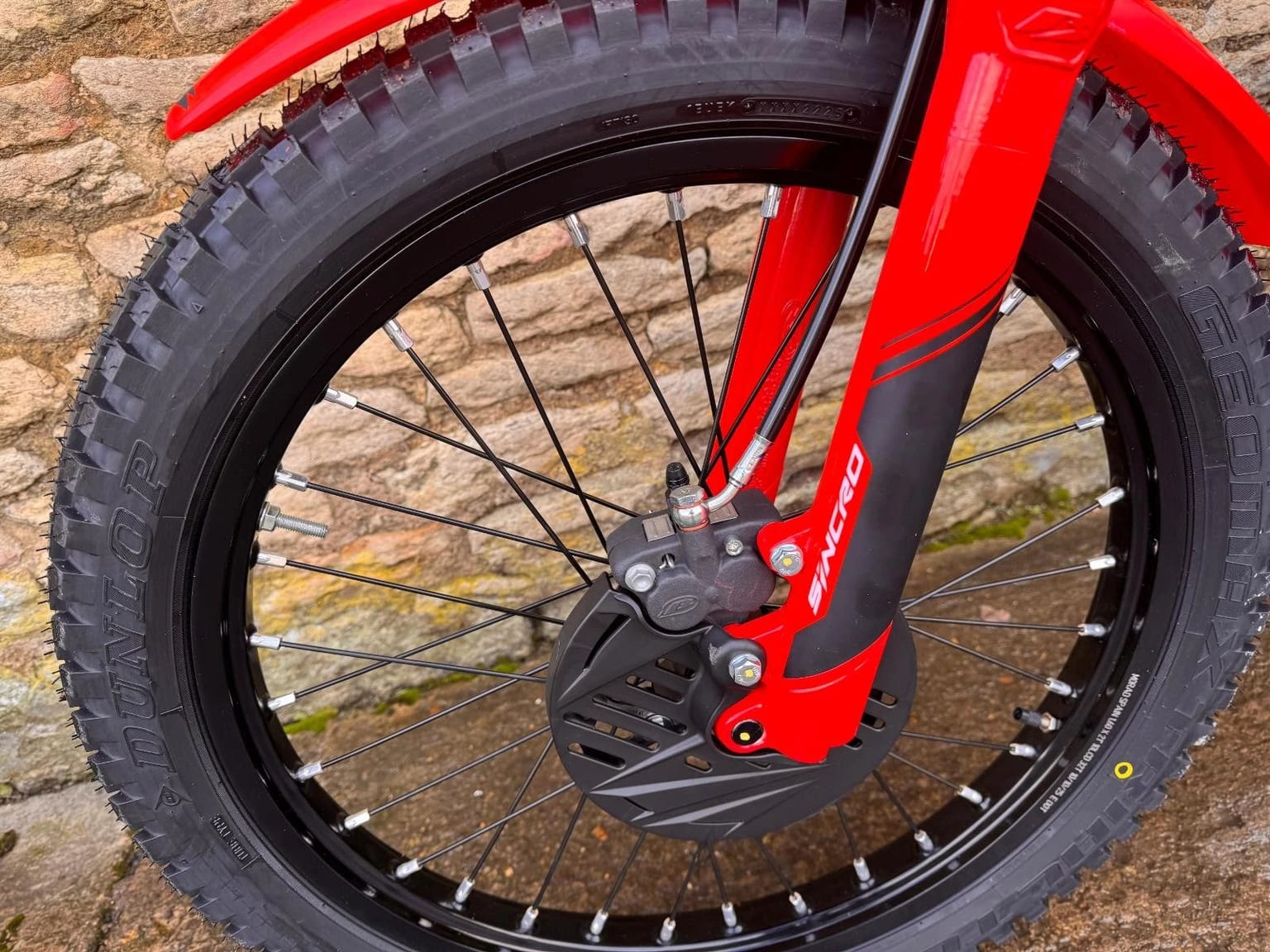 Beta Sincro 300cc Trials Bike, Brand New 2026 Model, In Stock & Ready Today - Image 5