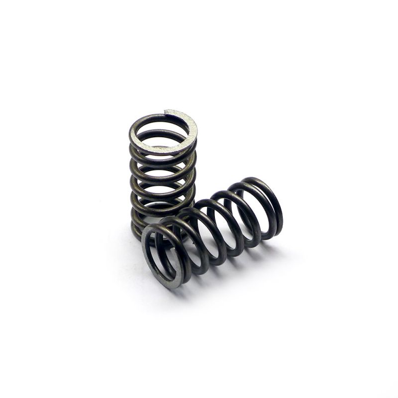 CLUTCH SPRING TEC94 REV3 EVO John Lee Motorcycles